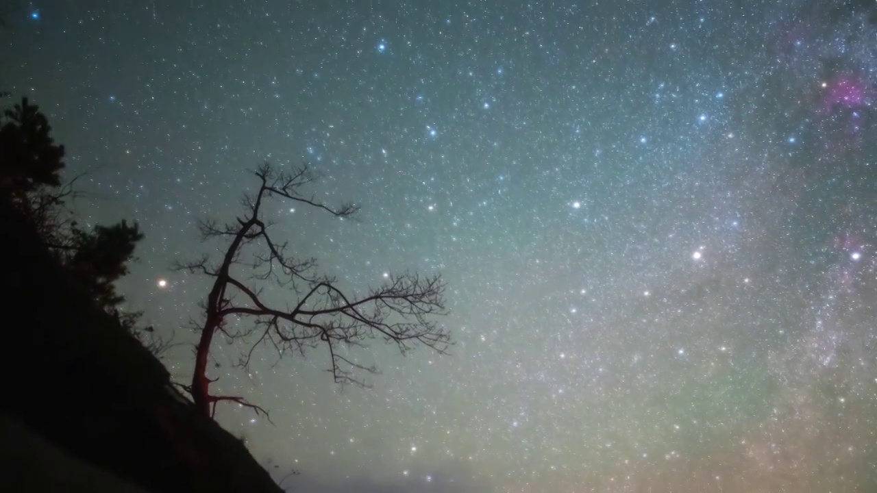 星空延时：宇宙星空树木天空视频素材