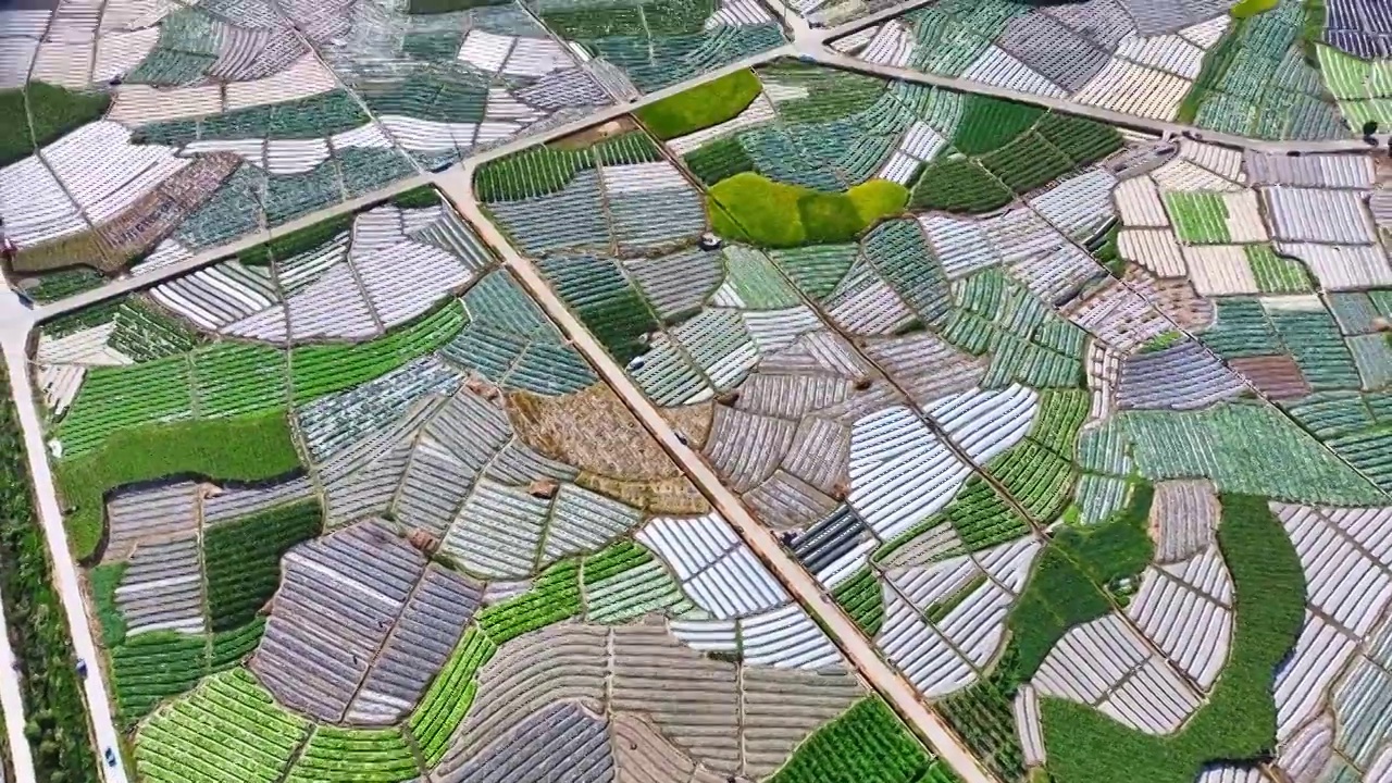 福州现代农业种植基地视频下载