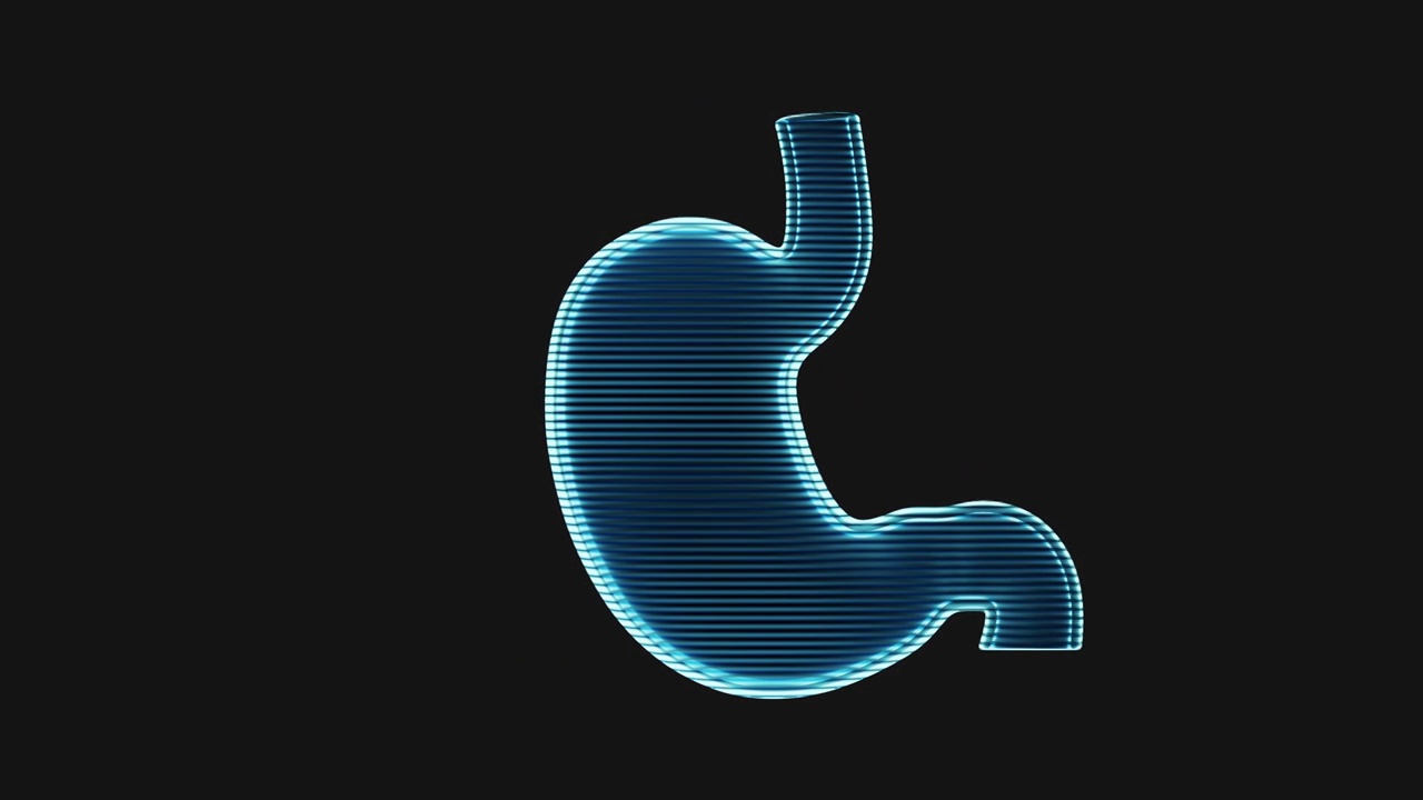 胃部全息影像效果图循环动画3D渲染视频素材
