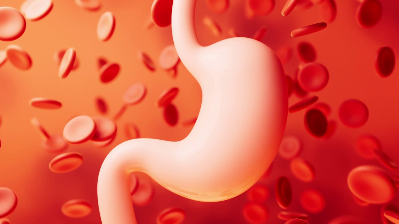 胃部消化系统医疗概念3D渲染视频素材