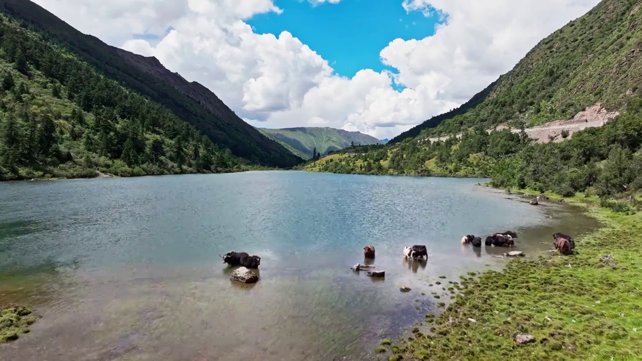 西藏拉多藏湖白昼风光视频下载