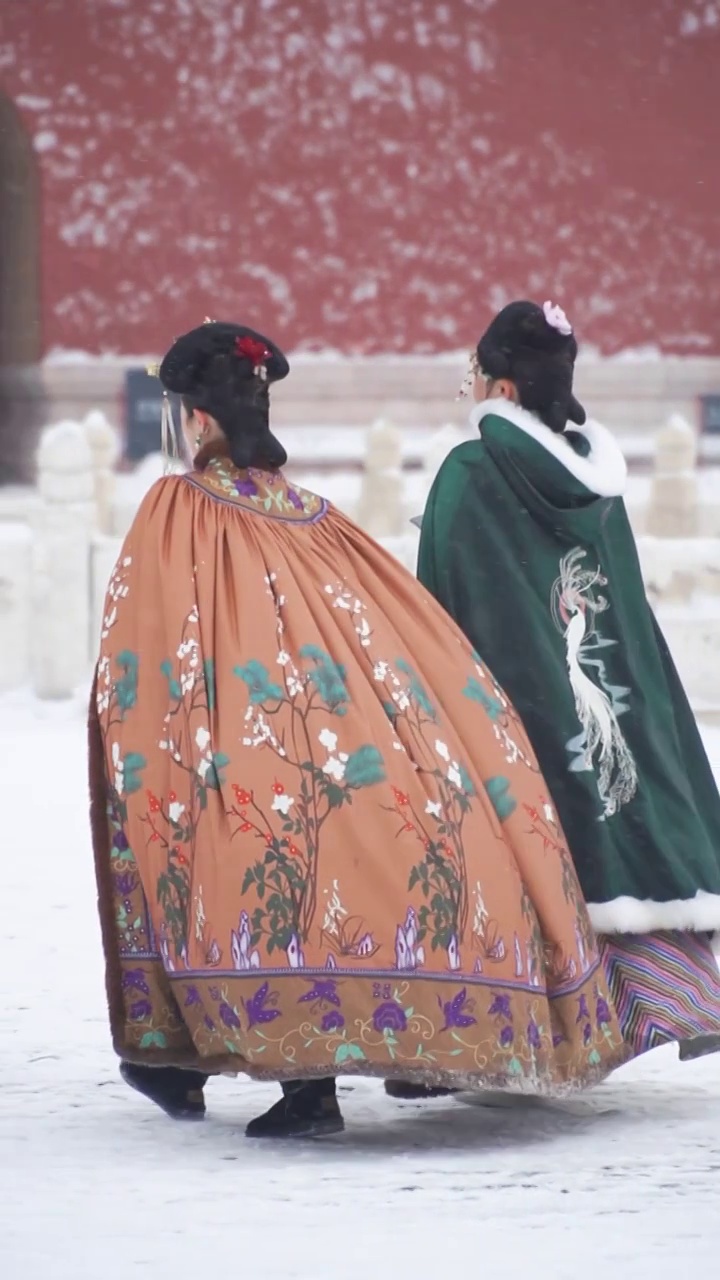 雪中故宫古装人物背影慢镜头视频素材