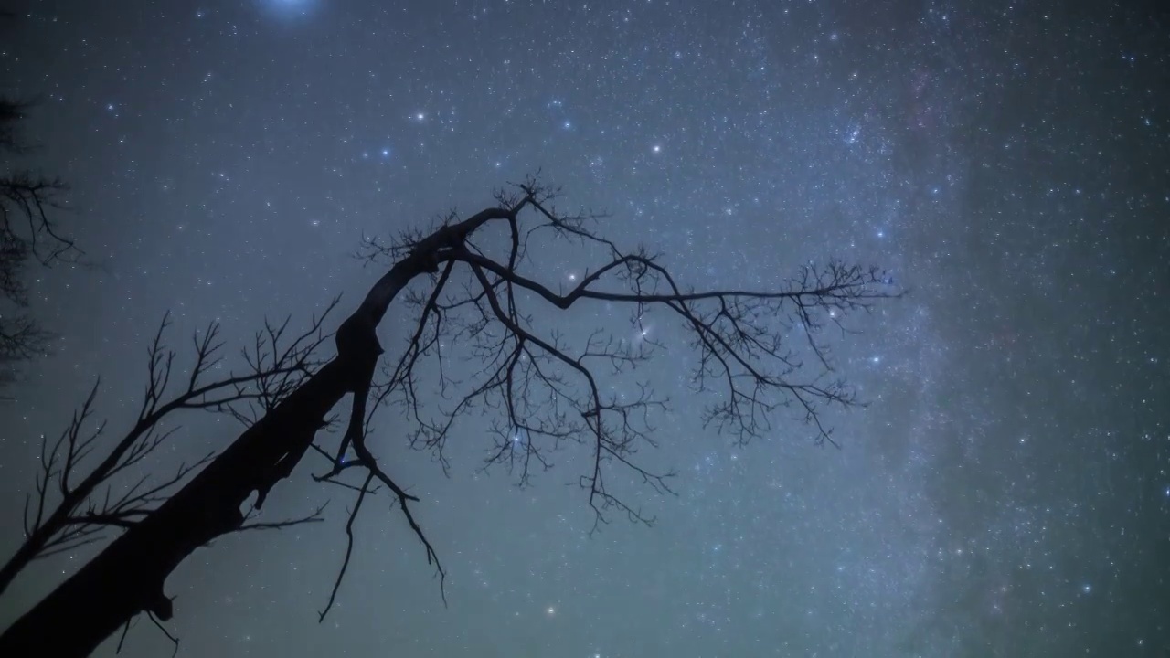 星空延时：秦岭树枝与银河流转视频下载