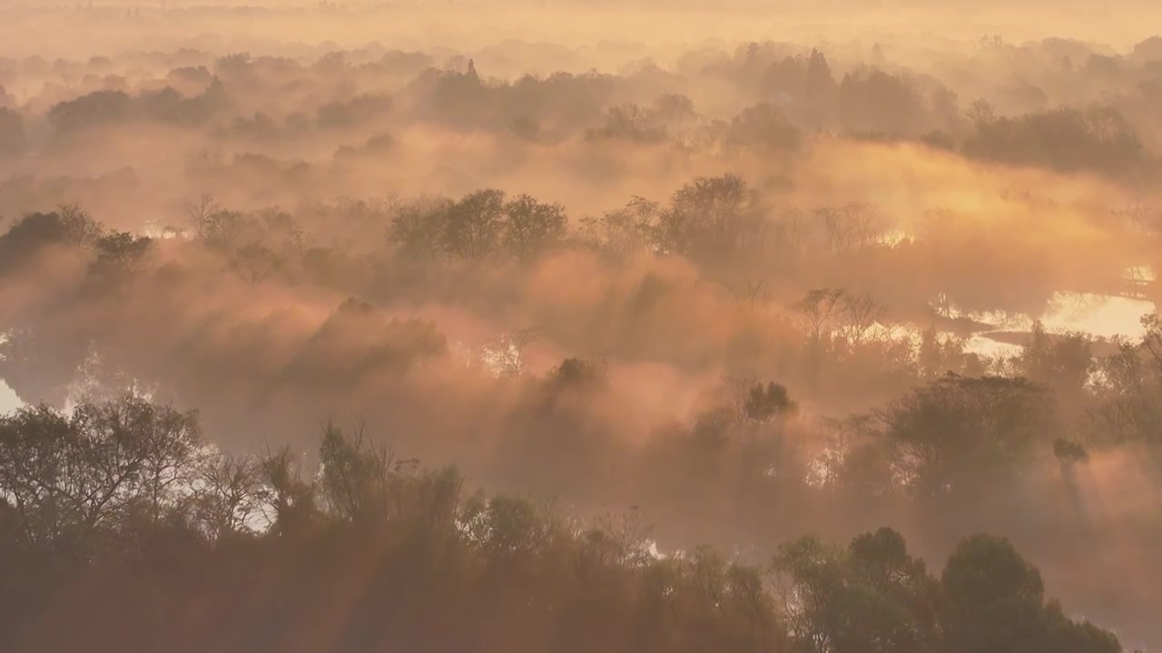 航拍杭州西溪湿地 云雾缭绕 唯美耶稣光 宛如仙境视频下载