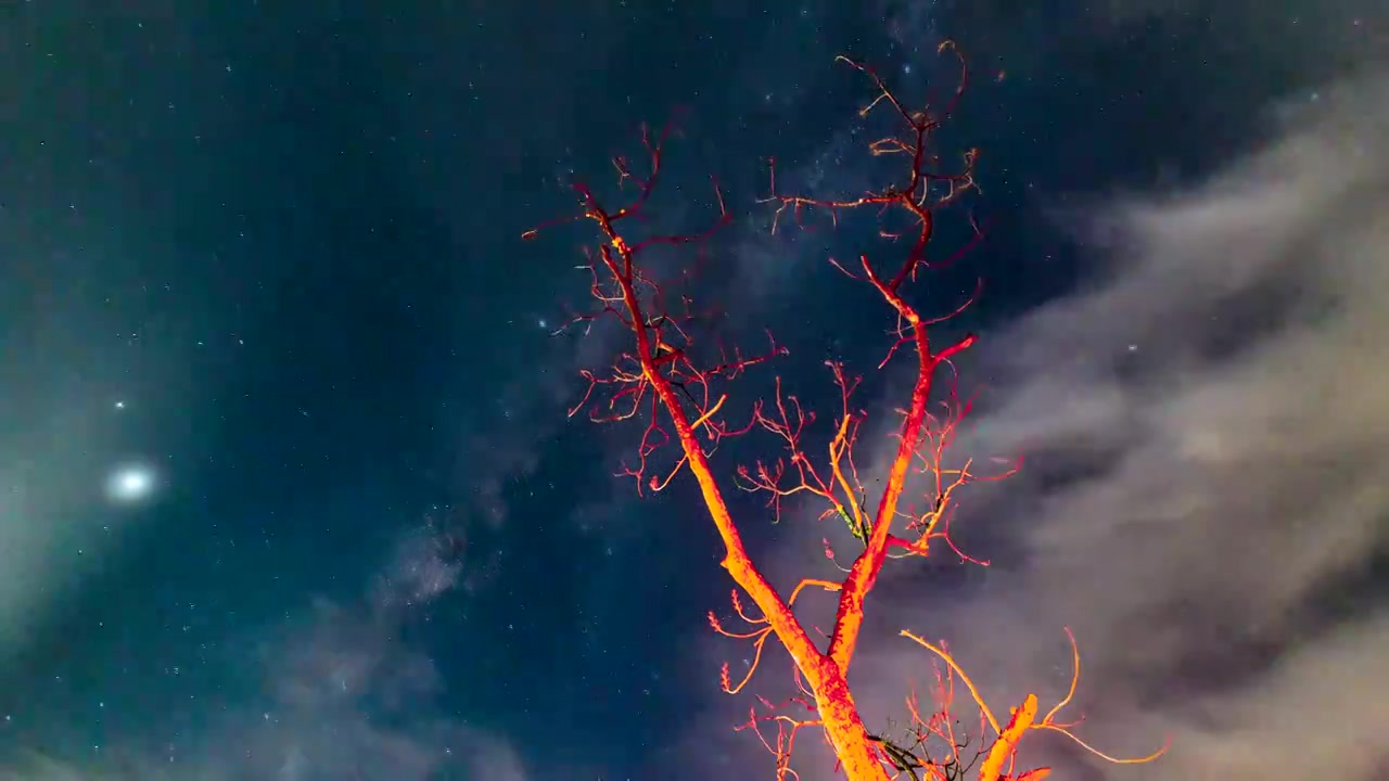星空银河红色树木延时摄影视频下载