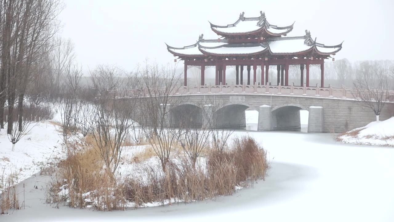 湿地公园冬天被雪覆盖的桥视频下载