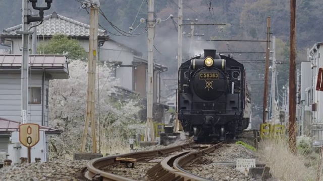Steam locomotive Paleo Express at Chichibu Railway視頻素材