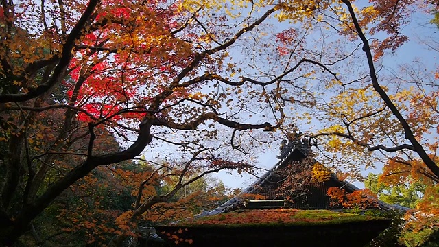 View of Kyoto, Japan視頻素材