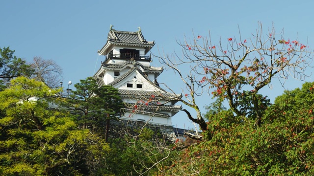 Kochi Castle, Kochi City, Kochi Prefecture, Japan視頻素材