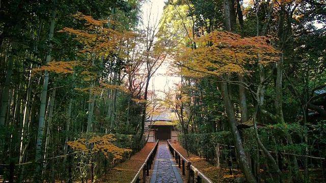 View of Kyoto, Japan視頻素材