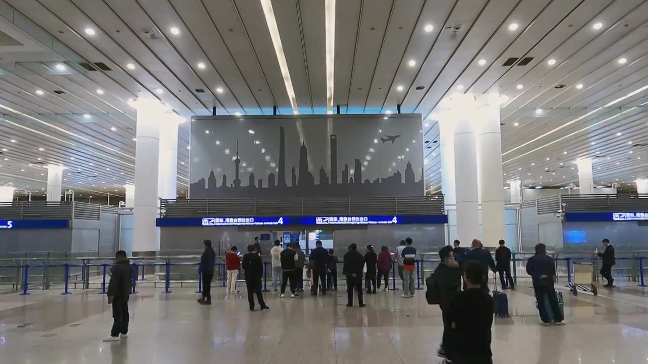 上海浦东机场到达视频下载