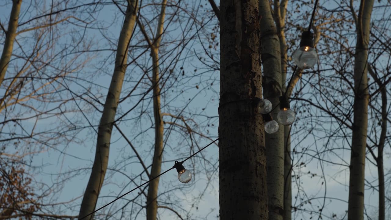 露营地的冬天蓝调时间树上的小彩灯视频下载