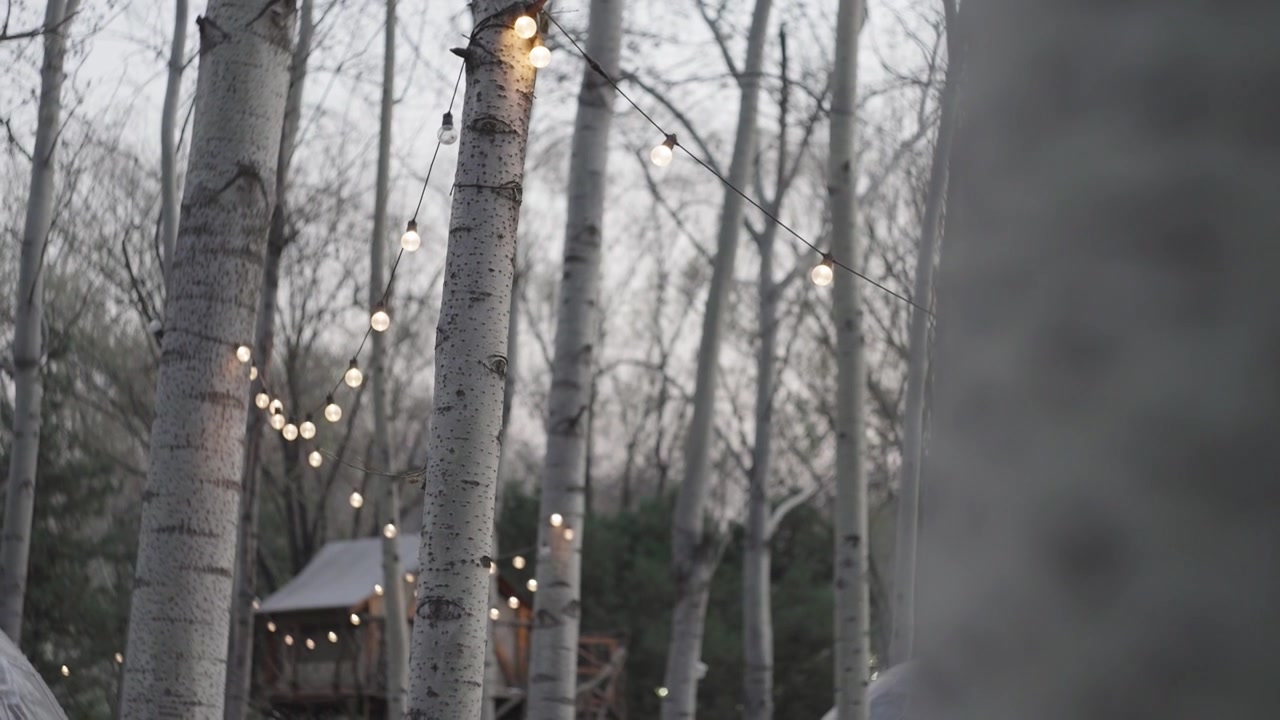 冬天户外桦树林露营地蓝色傍晚时分小彩灯视频下载