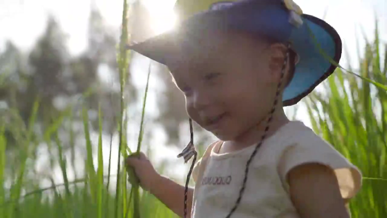 1岁7个月的宝宝在稻田里探索视频下载