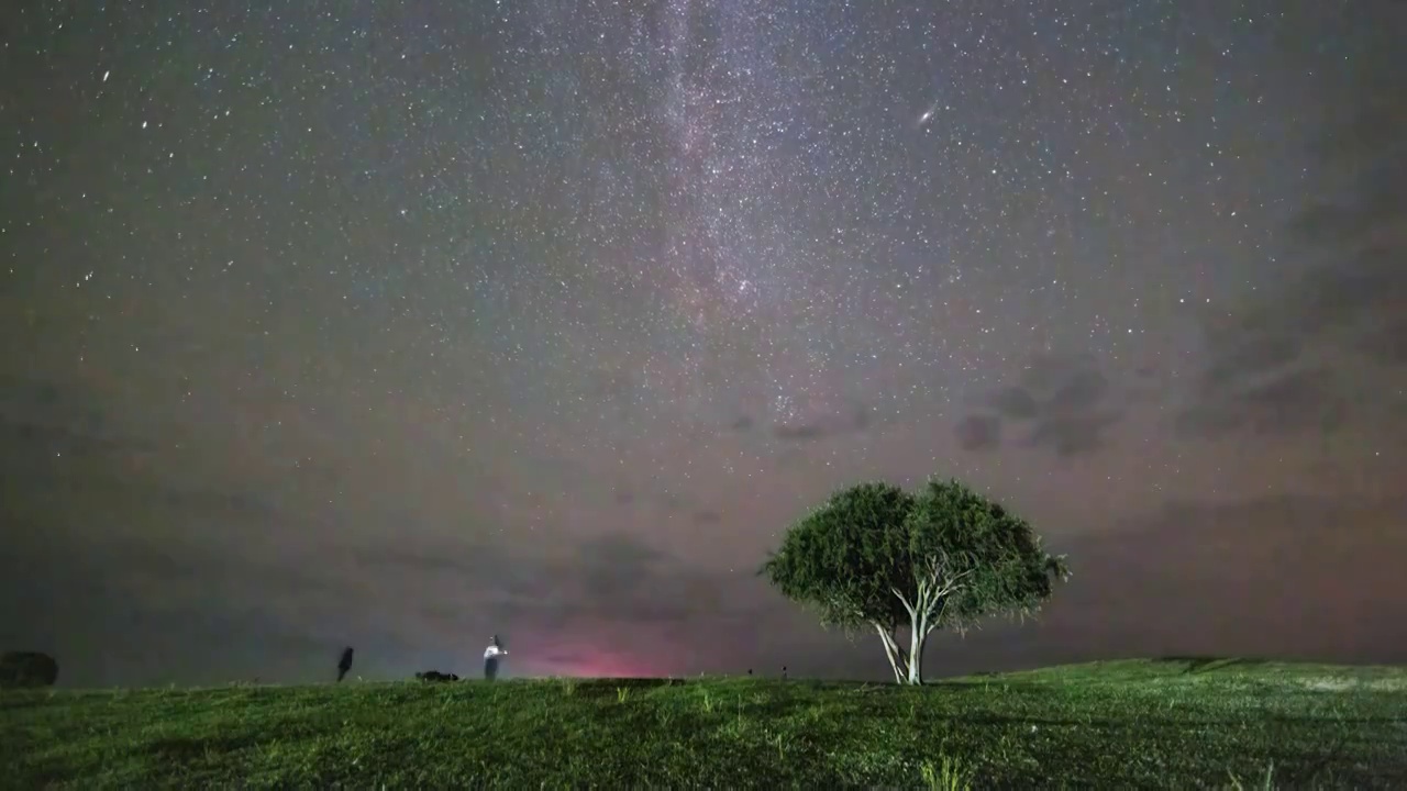 星空延时：内蒙古草原的树视频素材