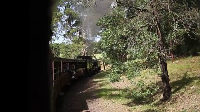 Puffing Billy蒸汽小火车在森林穿梭视频下载