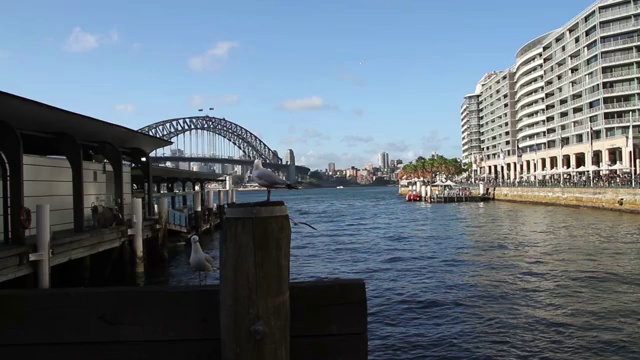 悉尼的小港口视频下载