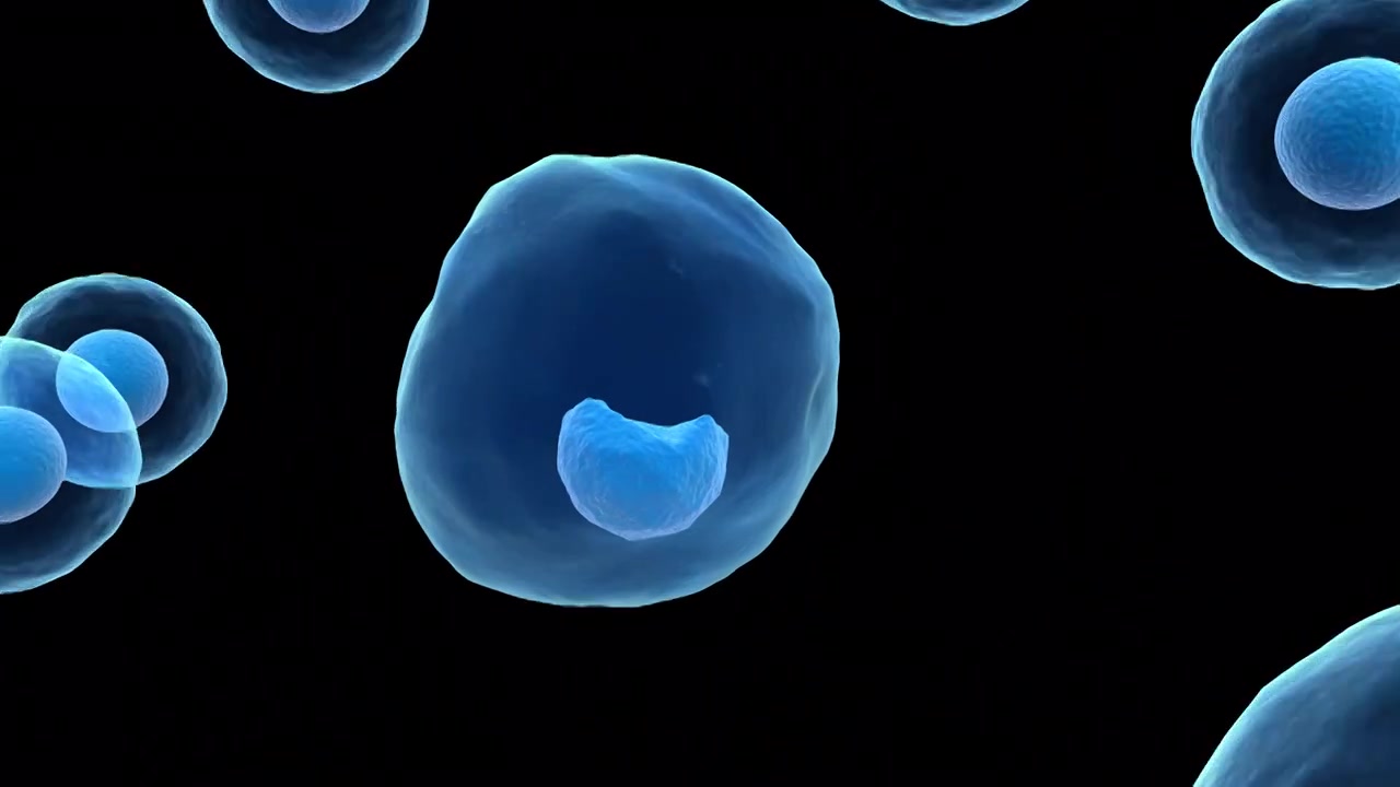 细胞分裂再生视频视频素材
