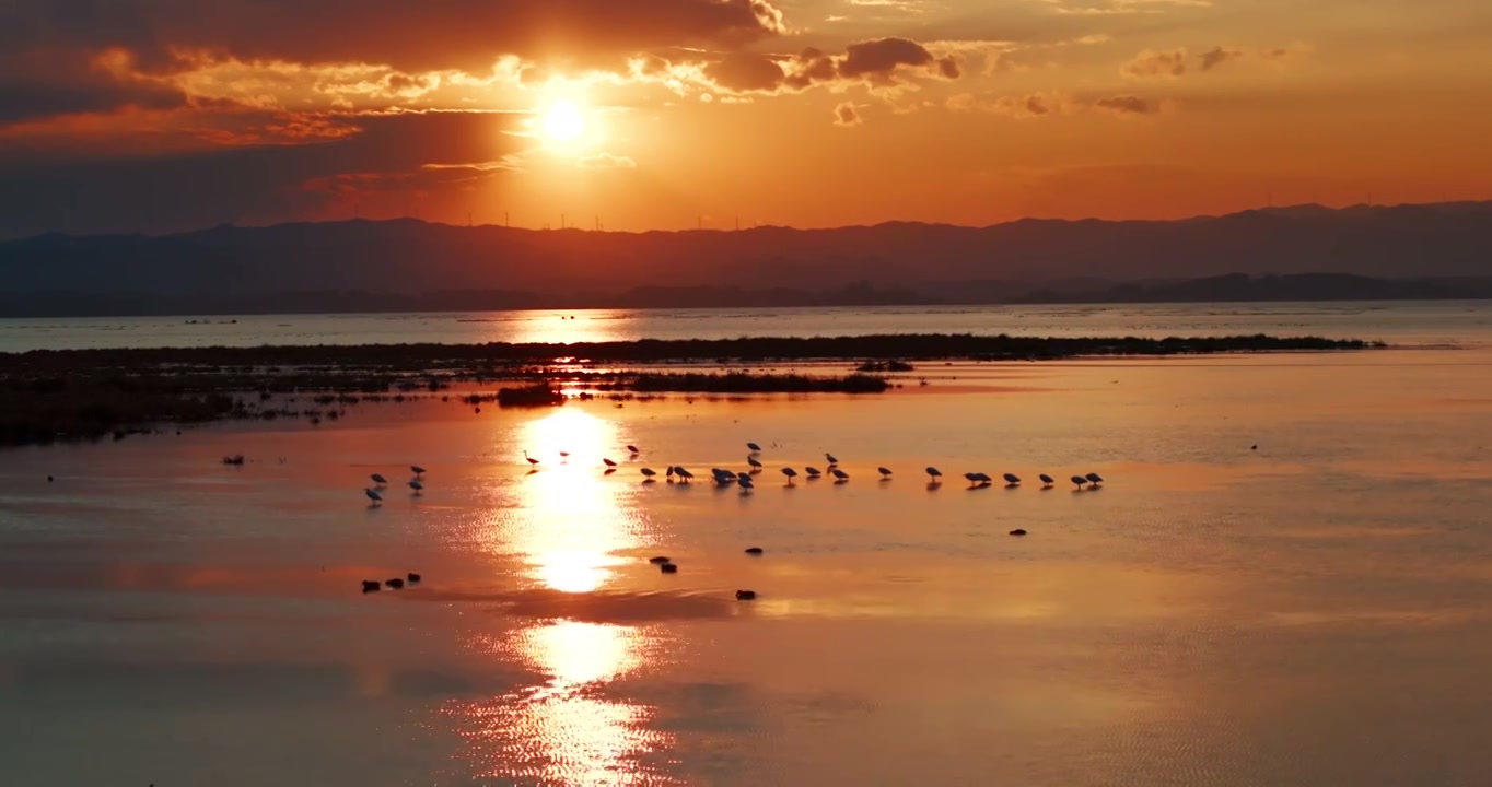 4K威宁草海黑颈鹤保护区日出日落视频素材