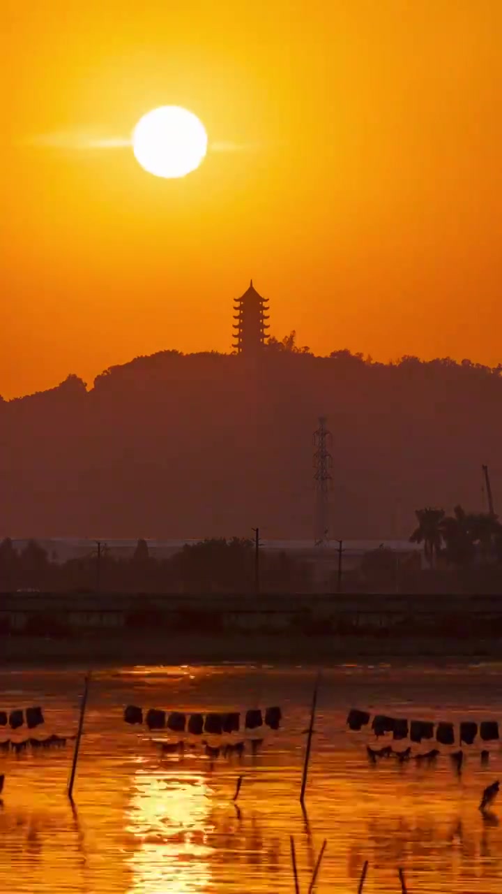 广州罗汉塔日落延时渔船视频素材