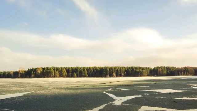 森林公园冬季自然风光视频下载