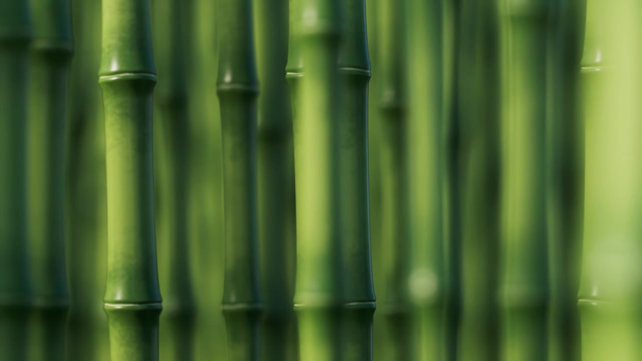 绿色竹子和竹林天然绿色概念3D渲染视频素材