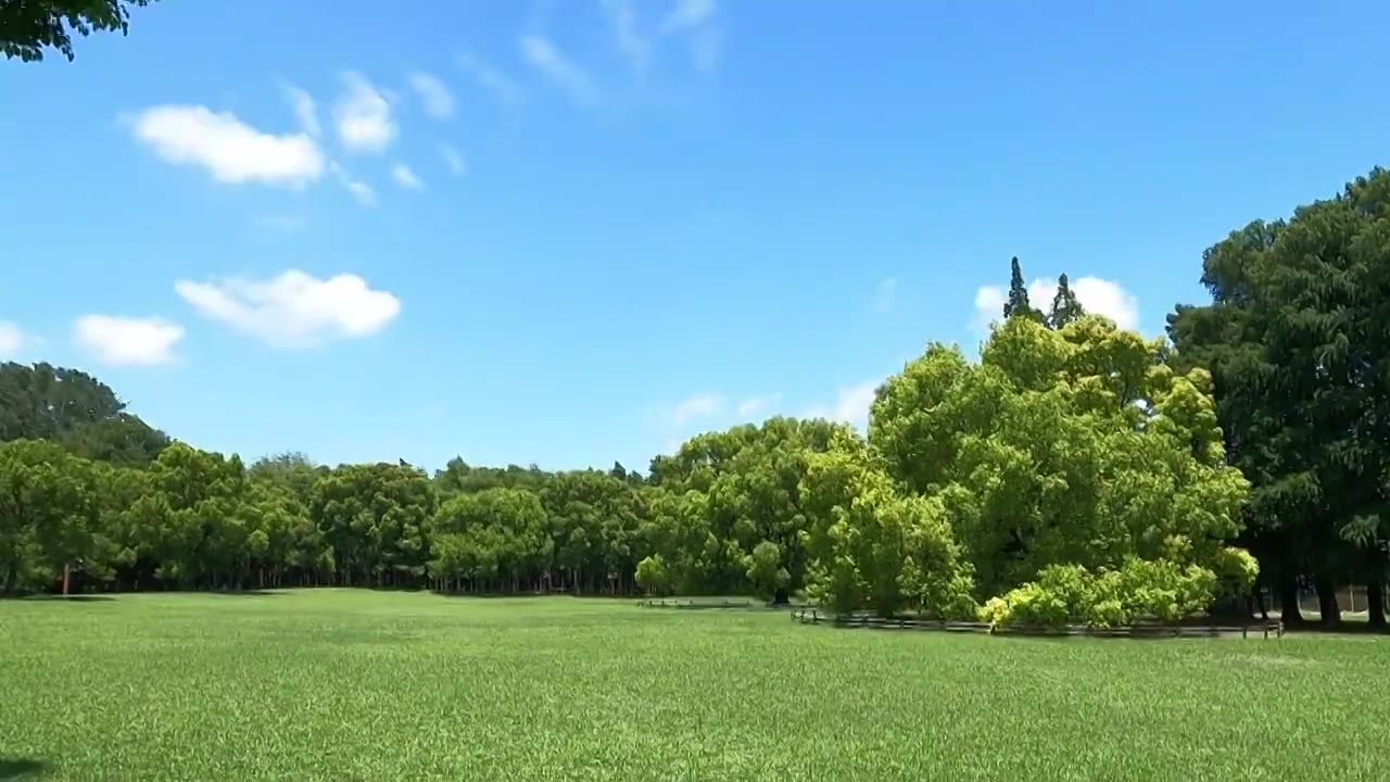 流动的云朵和树林草坪视频下载