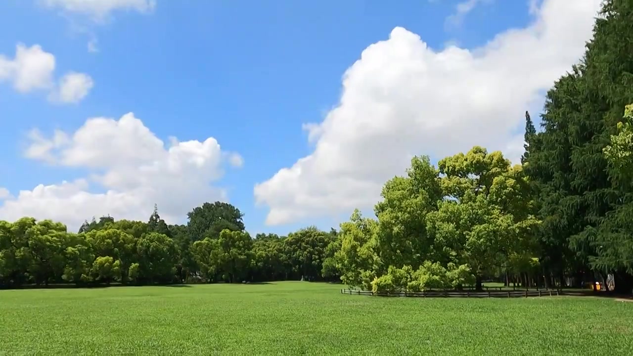 大自然中的绿色草坪和流动的蓝天云朵视频下载