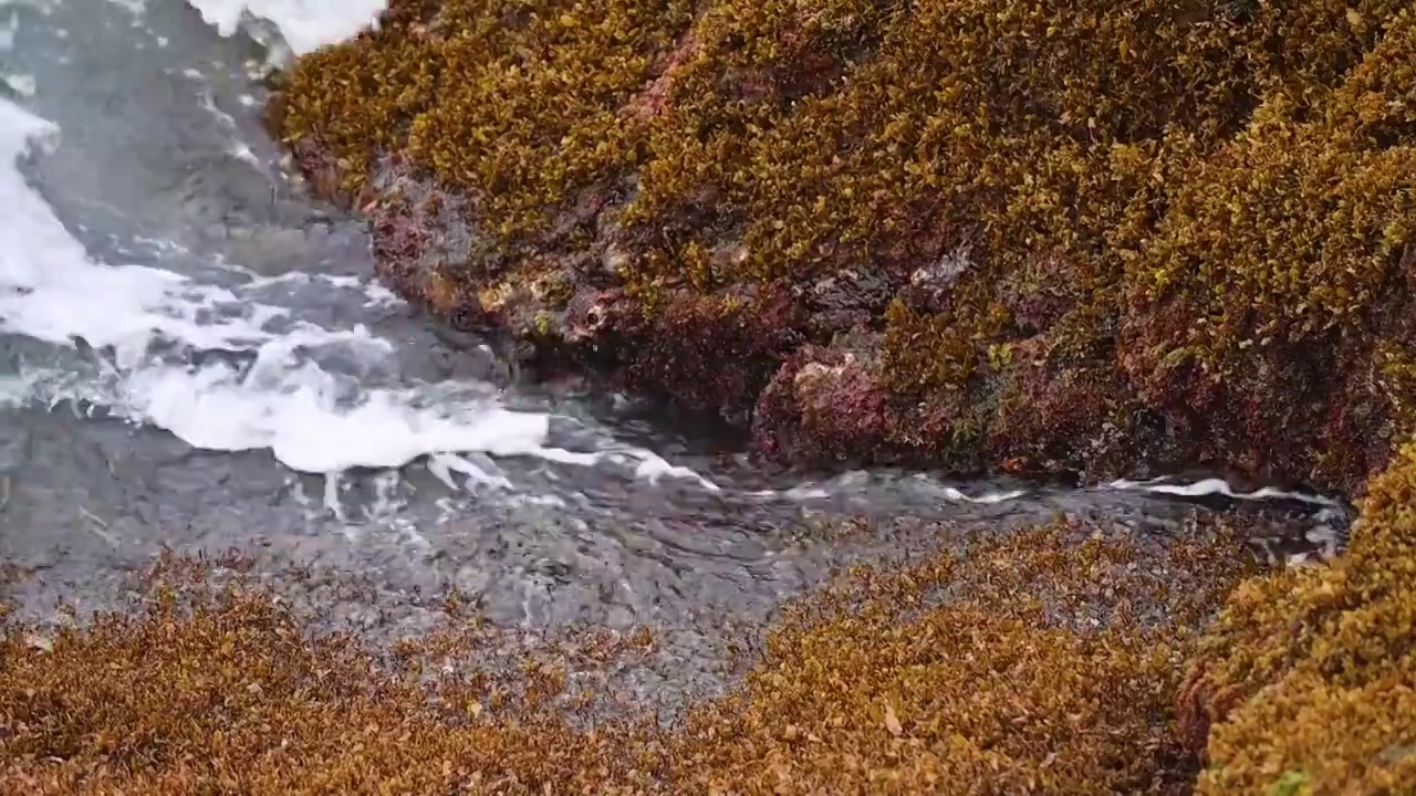 早晨大海海浪浪花拍打礁石升格慢动作视频素材