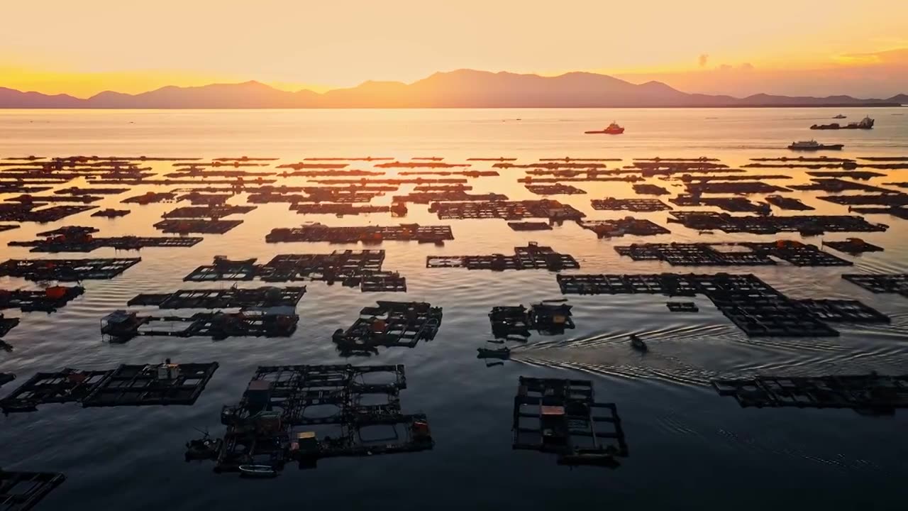 广东阳江海陵岛夕阳下闸坡渔港码头航拍视频下载