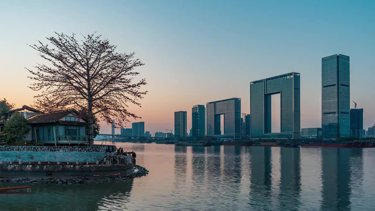 广州之窗商务港与木棉花的日落视频素材