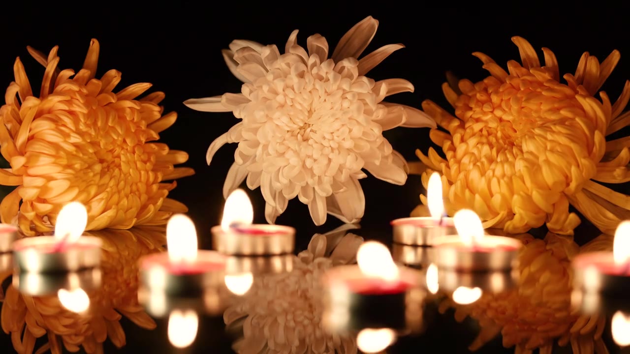 桌子上的菊花和蜡烛视频下载