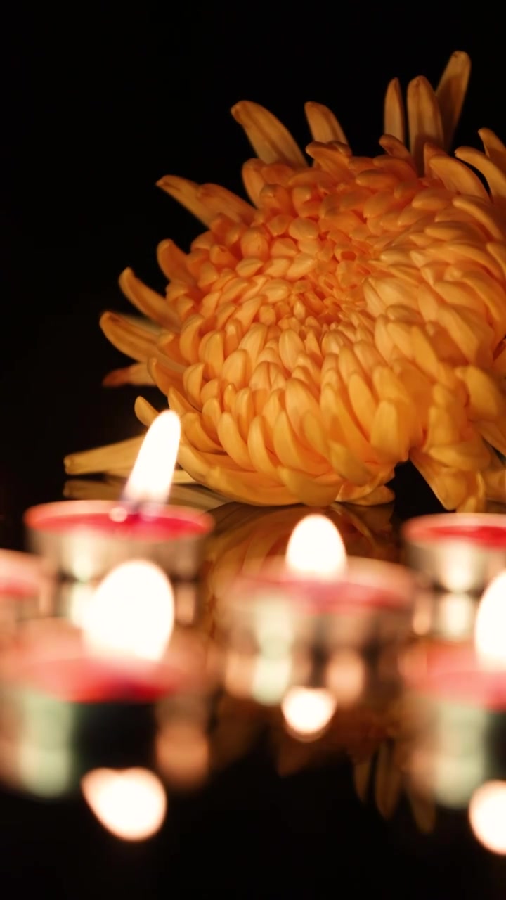 桌子上的菊花和蜡烛视频下载