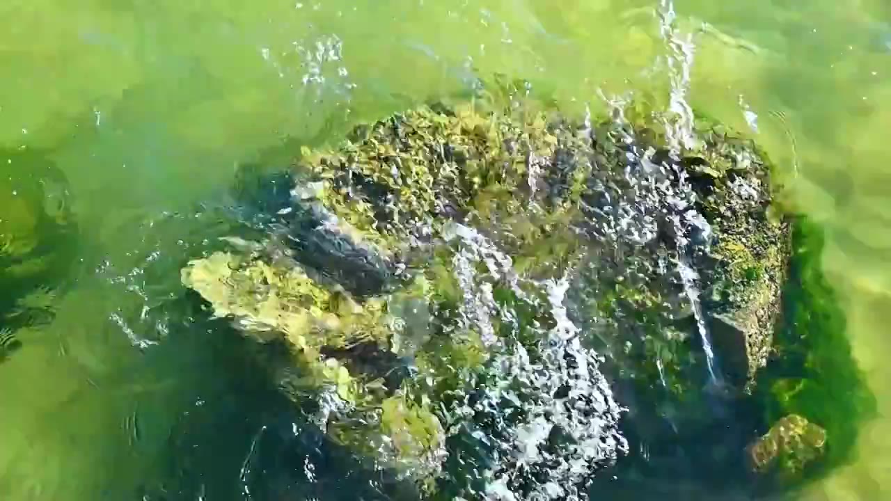 大海海浪浪花冲刷礁石升格特写视频素材