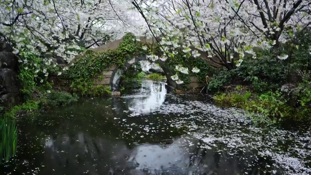 雨中漫步 梦溪苑 杭州宋式园林视频素材