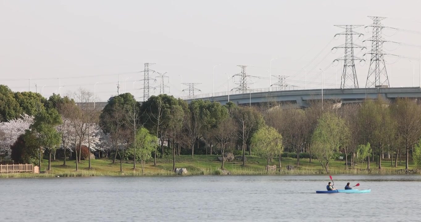 公园湖面上的皮划艇4k视频下载