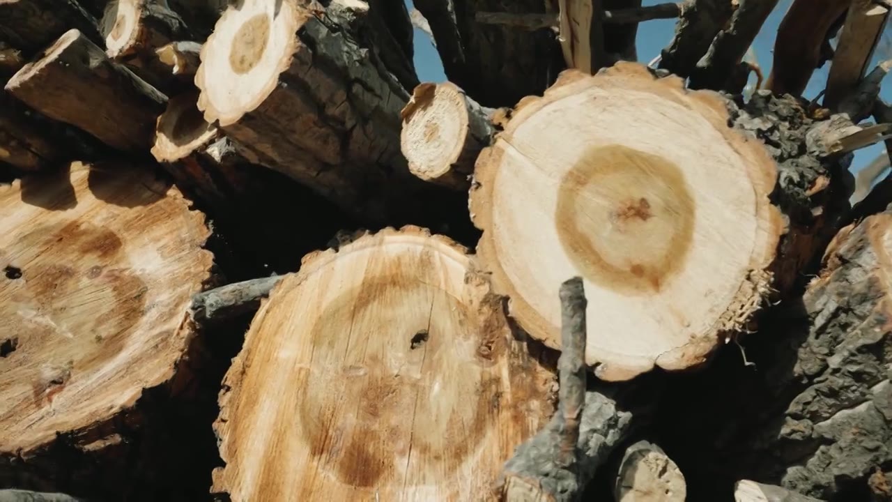 对方的木材特写慢镜头视频下载