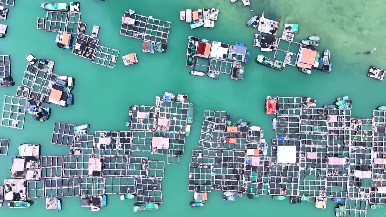 4K航拍视频-海南陵水的疍家鱼排视频素材
