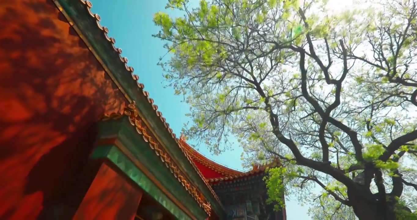 北京雍和宫红墙光影绿树视频下载