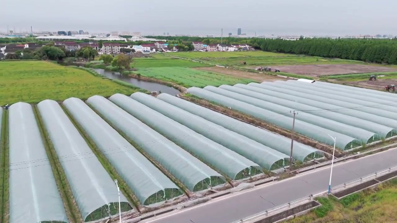 航拍种植蔬菜水果的温室大棚视频下载