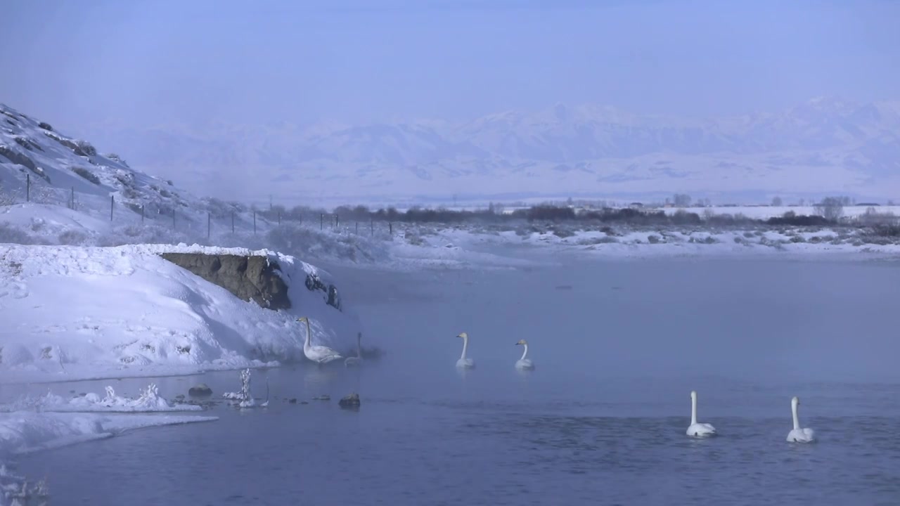 雪山下有雾气的天鹅湖视频素材