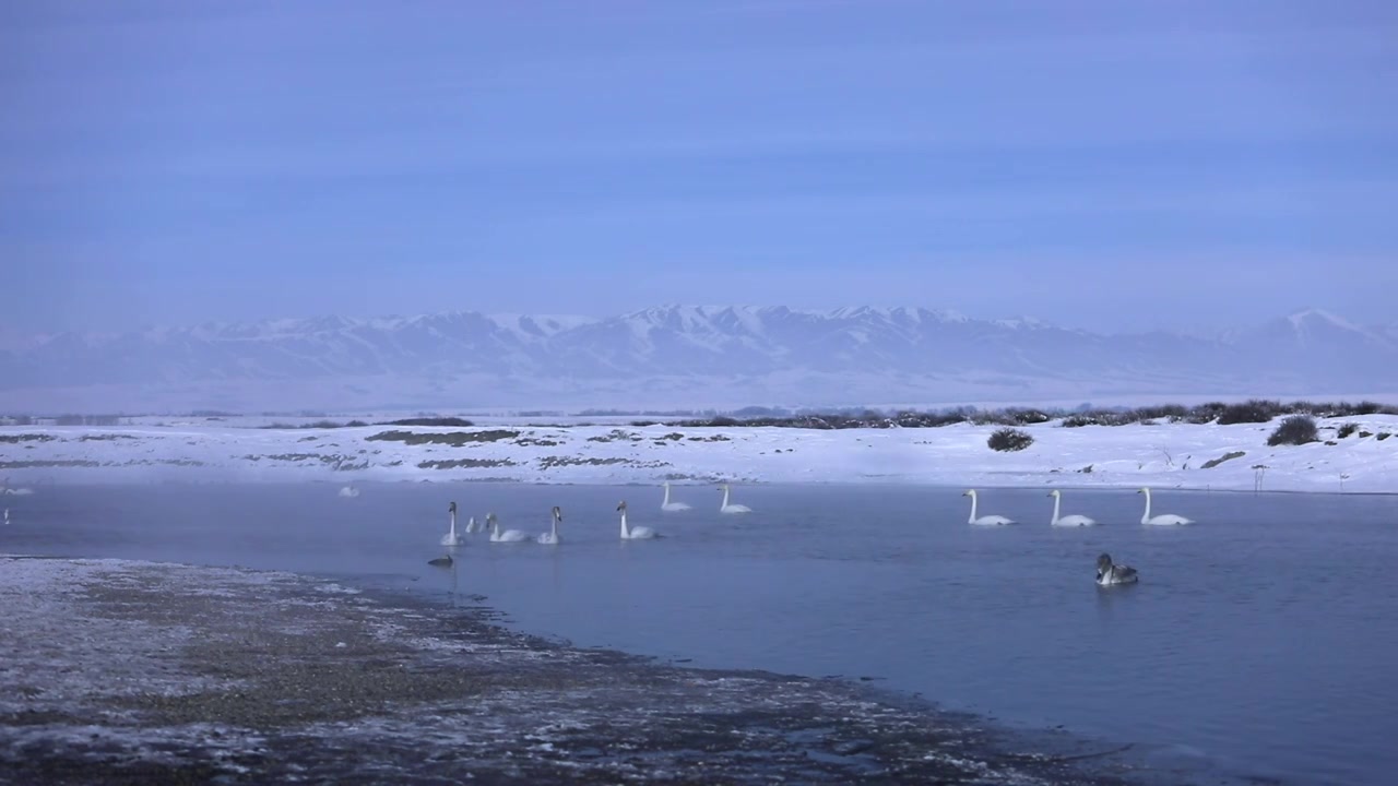 雪山和天鹅湖视频素材