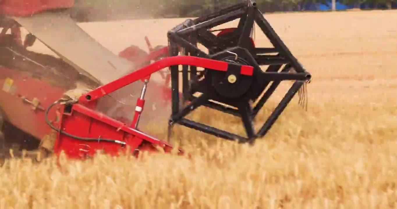 联合收割机在金色麦田里工作,小麦成熟丰收视频下载