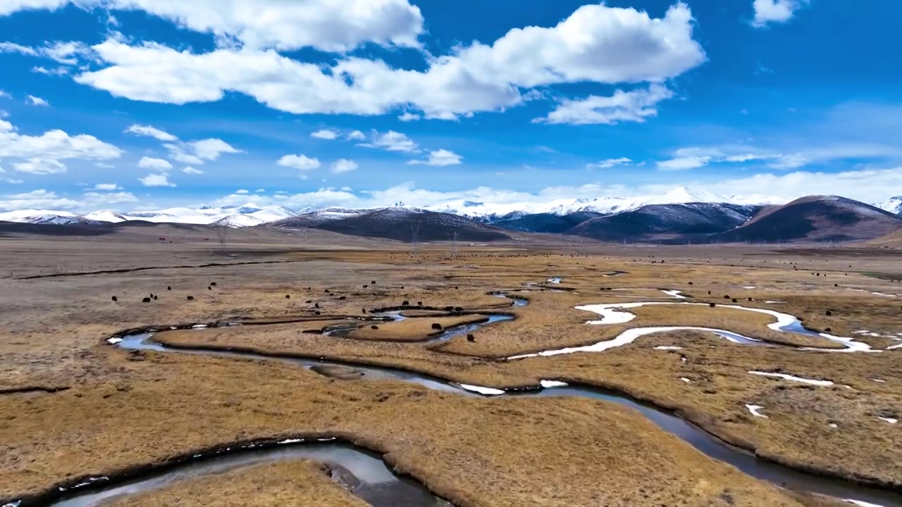 冬季高山牧场河流视频素材