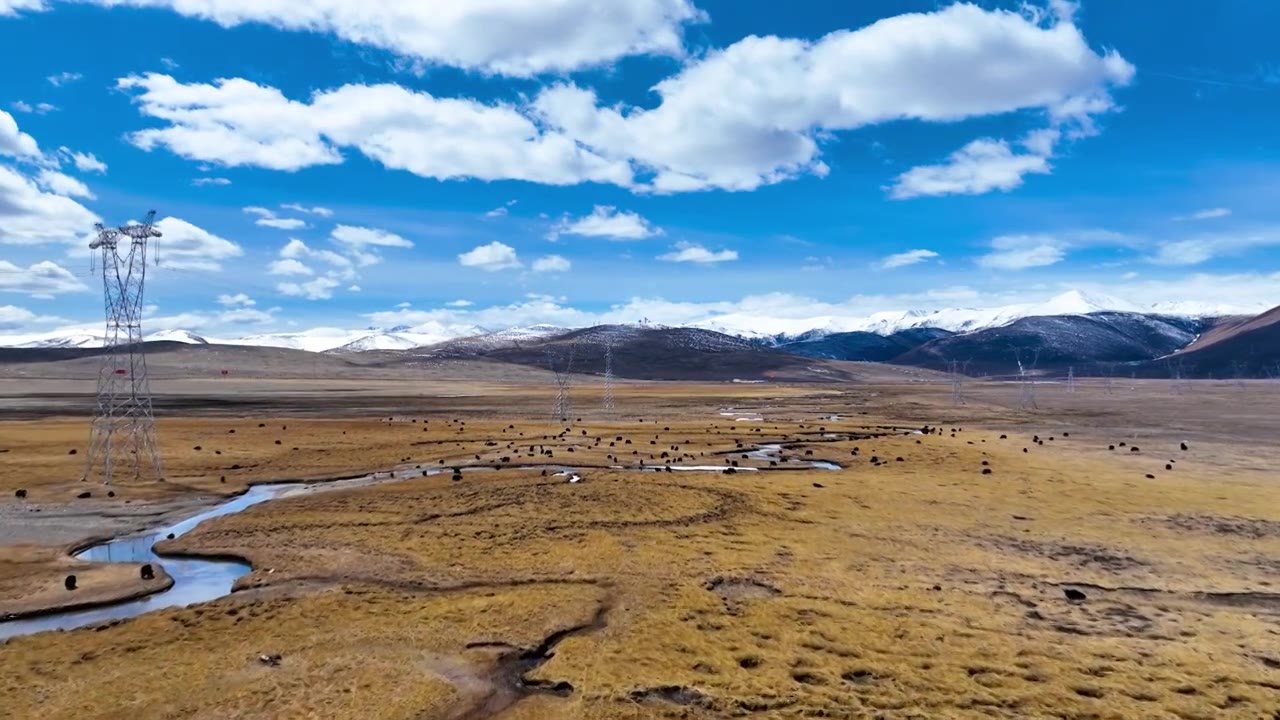 冬季高山牧场视频素材