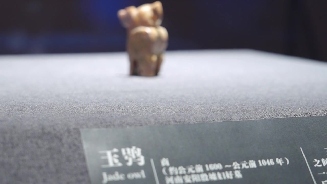 北京考古博物馆历史研究院公元前商代殷墟妇好墓玉鸮视频下载