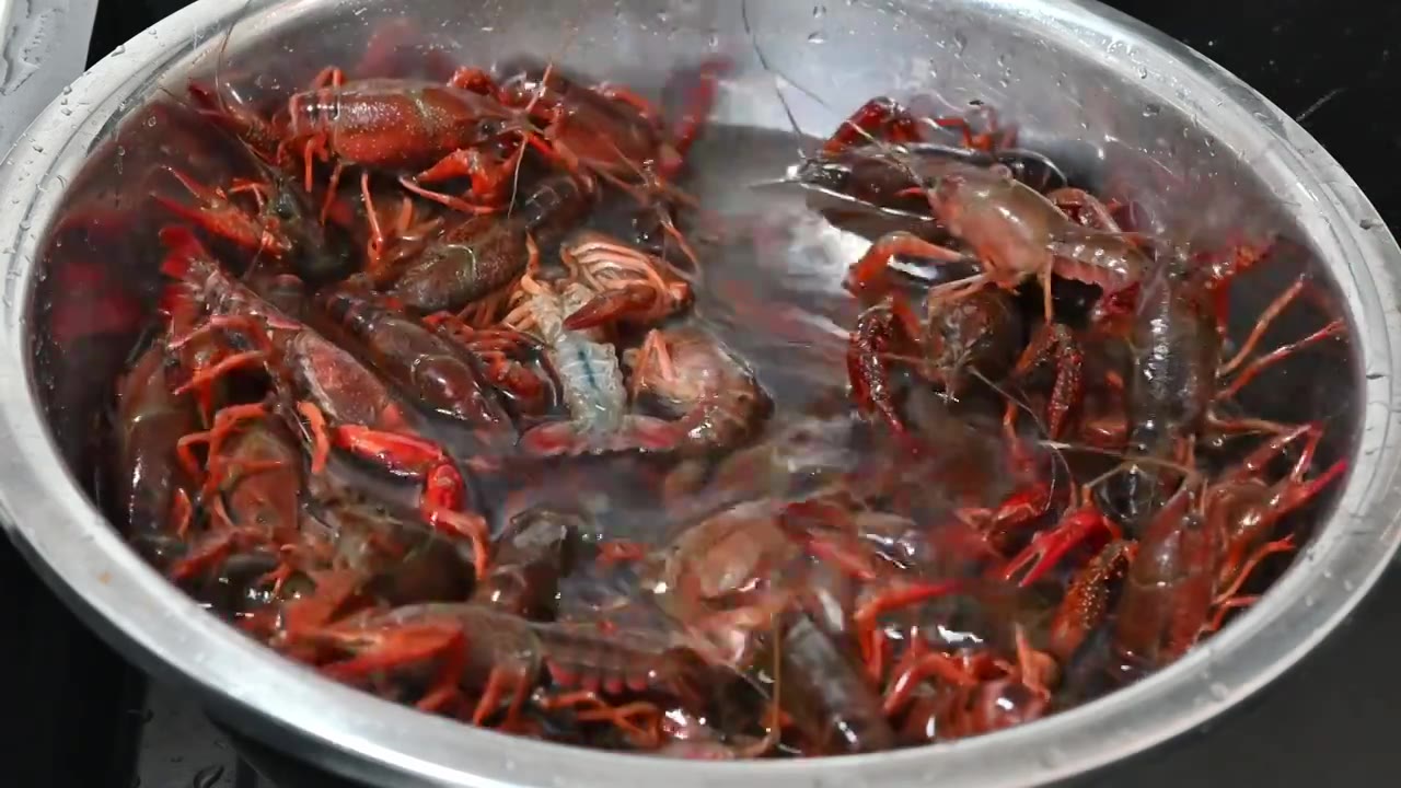 水盆里的小龙虾水产视频下载