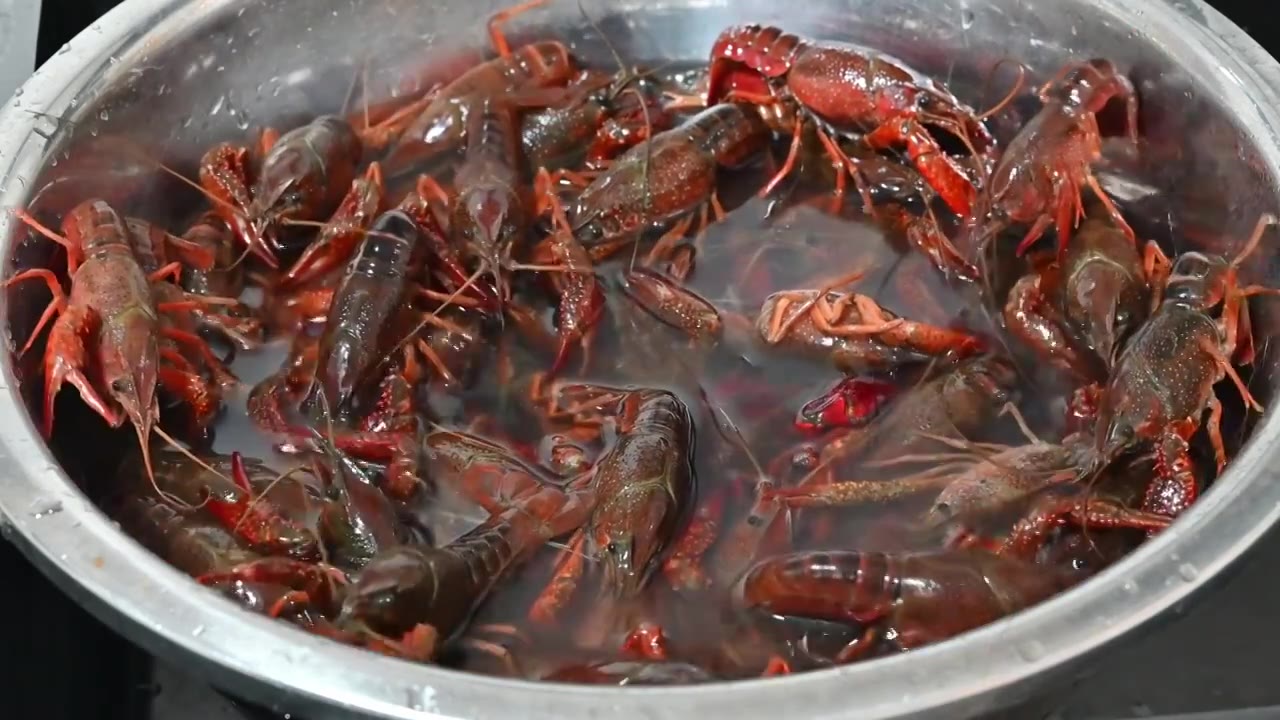 水盆里的小龙虾水产视频下载