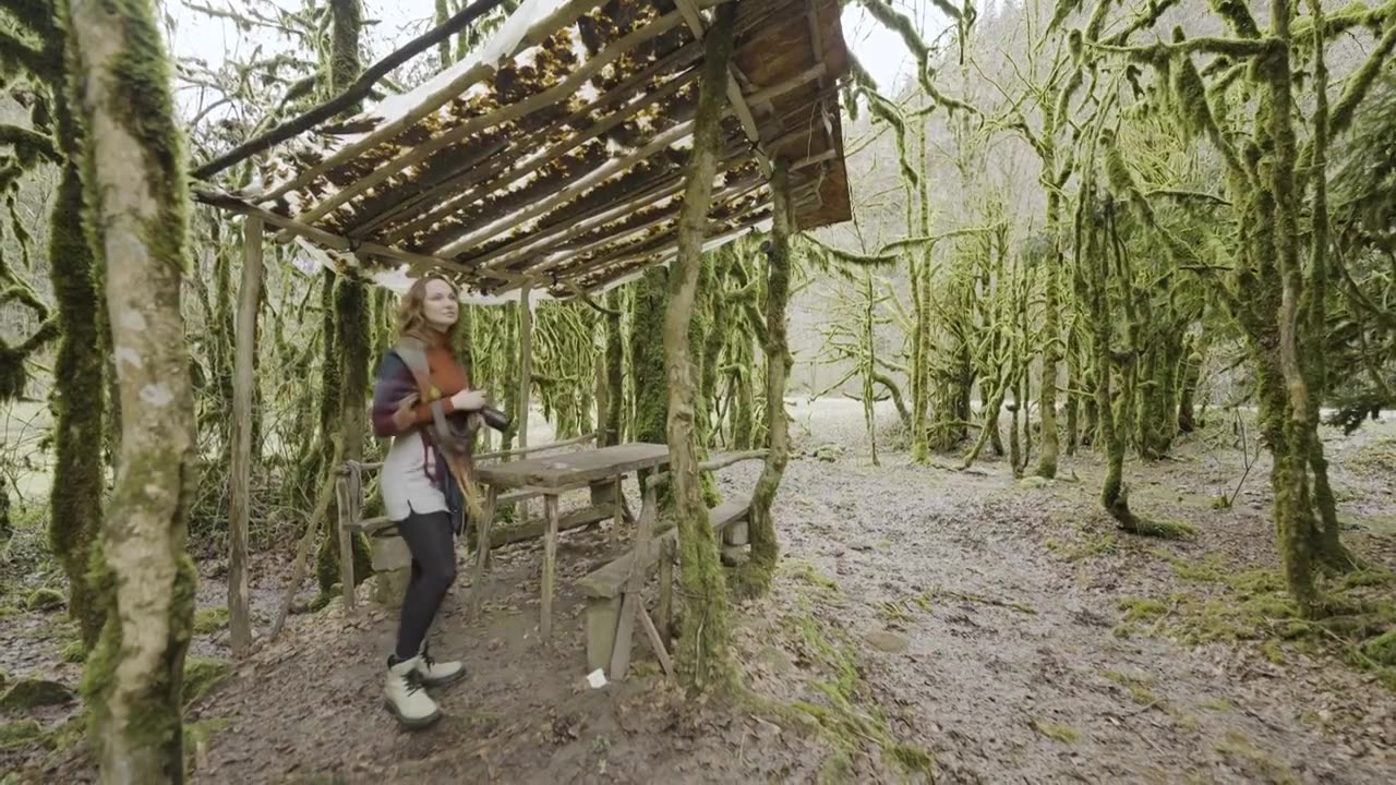女摄影师在阳光明媚的一天在森林里拍摄树木的照片视频下载