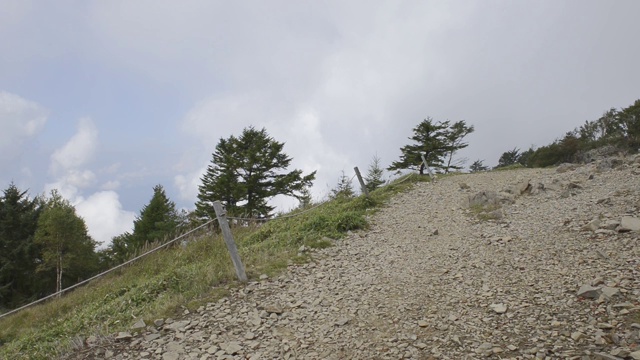 在山梨县的大博satsu山在夏天的Trail runner视频素材